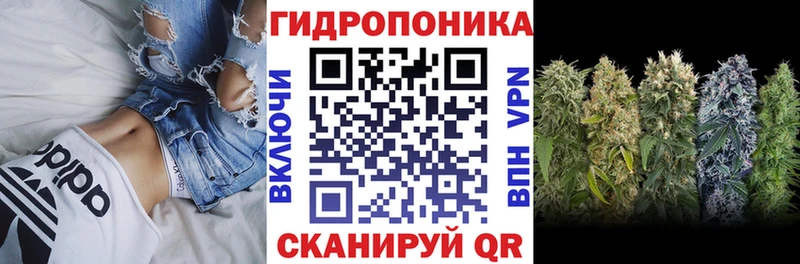 Codein Южно-Сухокумск