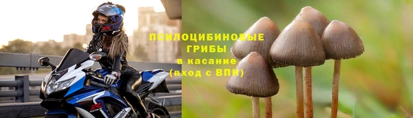 эйфоретик Абинск