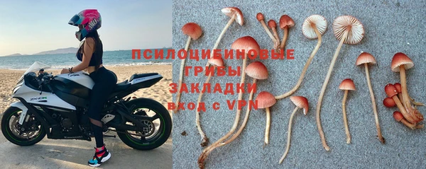 МДПВ Инта
