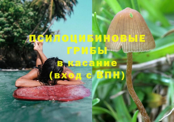 эйфоретик Абинск