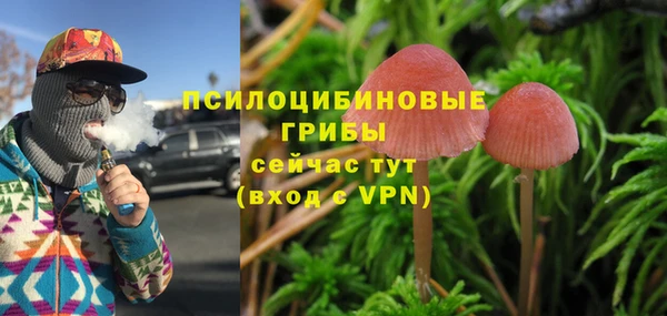 эйфоретик Абинск