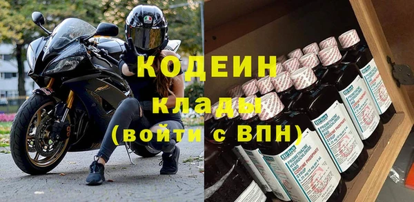 хмурый Инсар