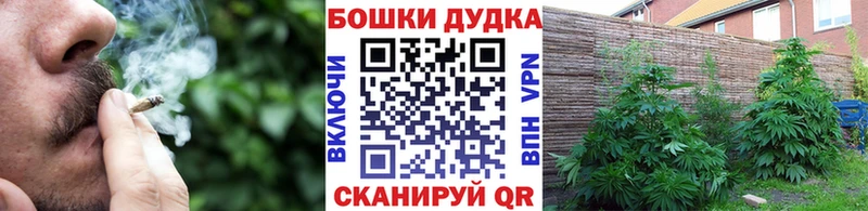 где купить наркотик  Южно-Сухокумск  Канабис Ganja 